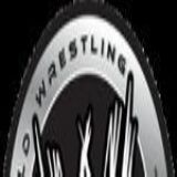 Download wwe Cell Phone Software